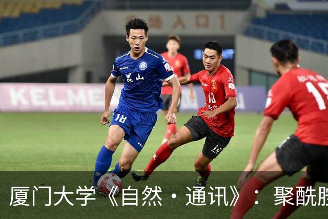 厦门大学《自然·通讯》：聚酰胺“水凝胶铠甲”赋能锌碘电池，厚电极实现Ah级容量与1600次稳定循环